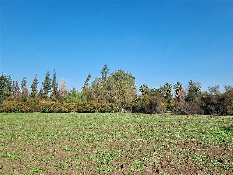 Venta Sitio Colina - Región Metropolitana