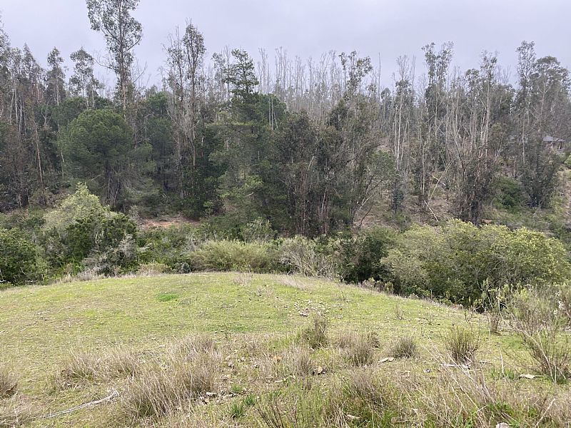 Venta Parcela Algarrobo - Valparaíso