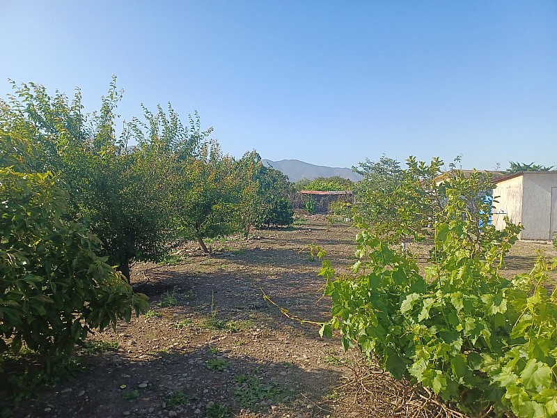 Venta Parcela Quillota - Valparaíso