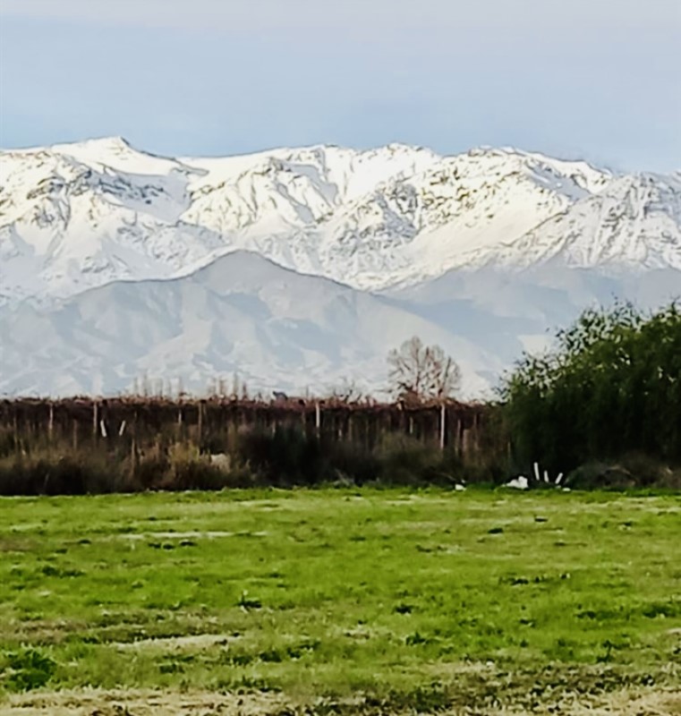 Venta Parcela Los Andes - Valparaíso