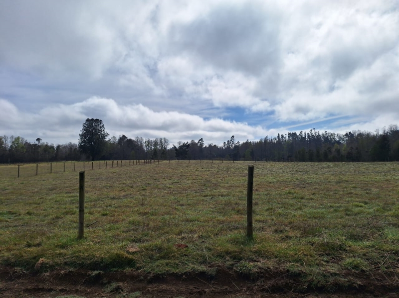 Venta Parcela Villarrica - La Araucanía