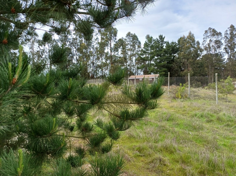 Venta Parcela El Quisco - Valparaíso