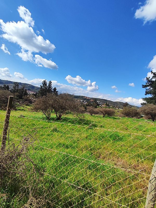 Venta Agrícola Villa Alemana - Valparaíso