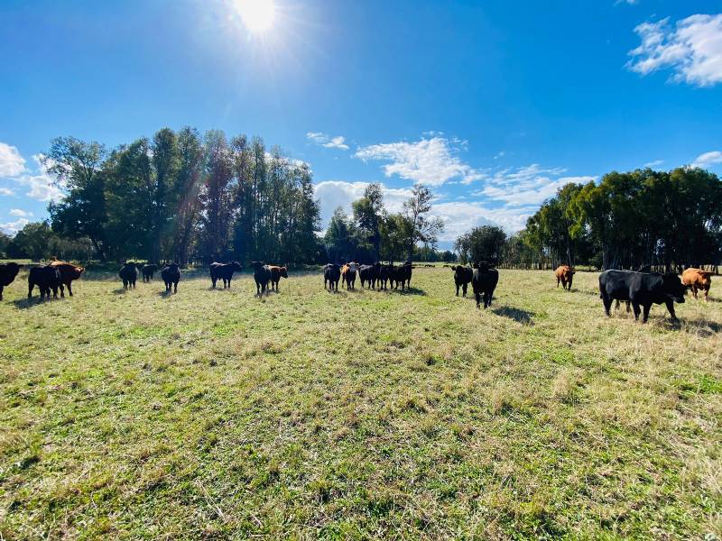 Venta Agrícola La Union - Los Ríos