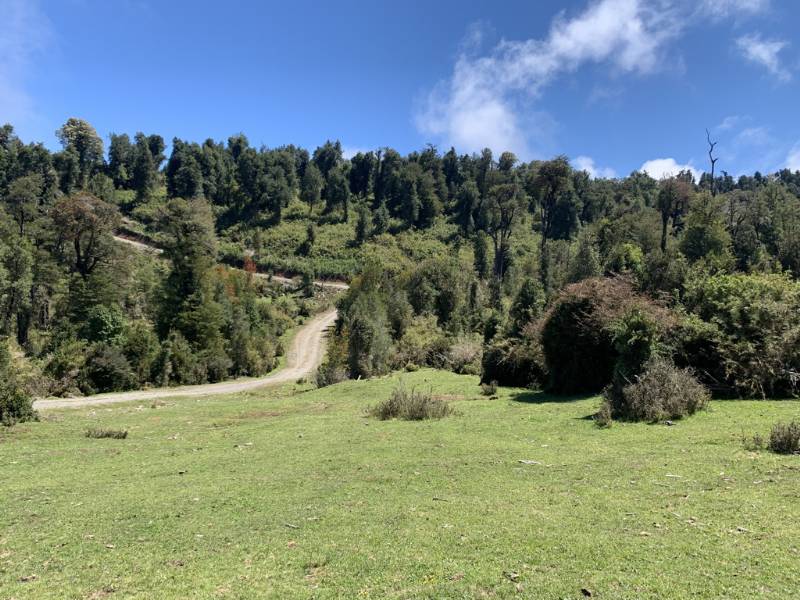 Venta Agrícola Puyehue - Los Lagos