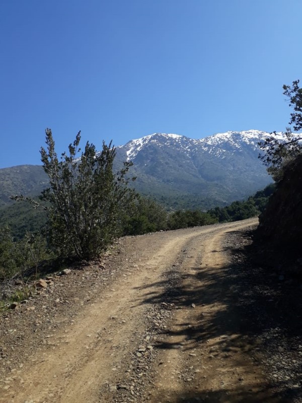 Venta Sitio San José de Maipo - Región Metropolitana