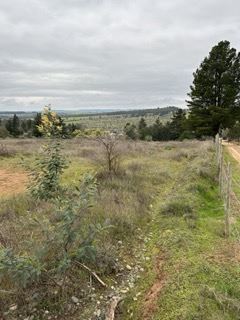 Venta Sitio San Nicolás - Ñuble