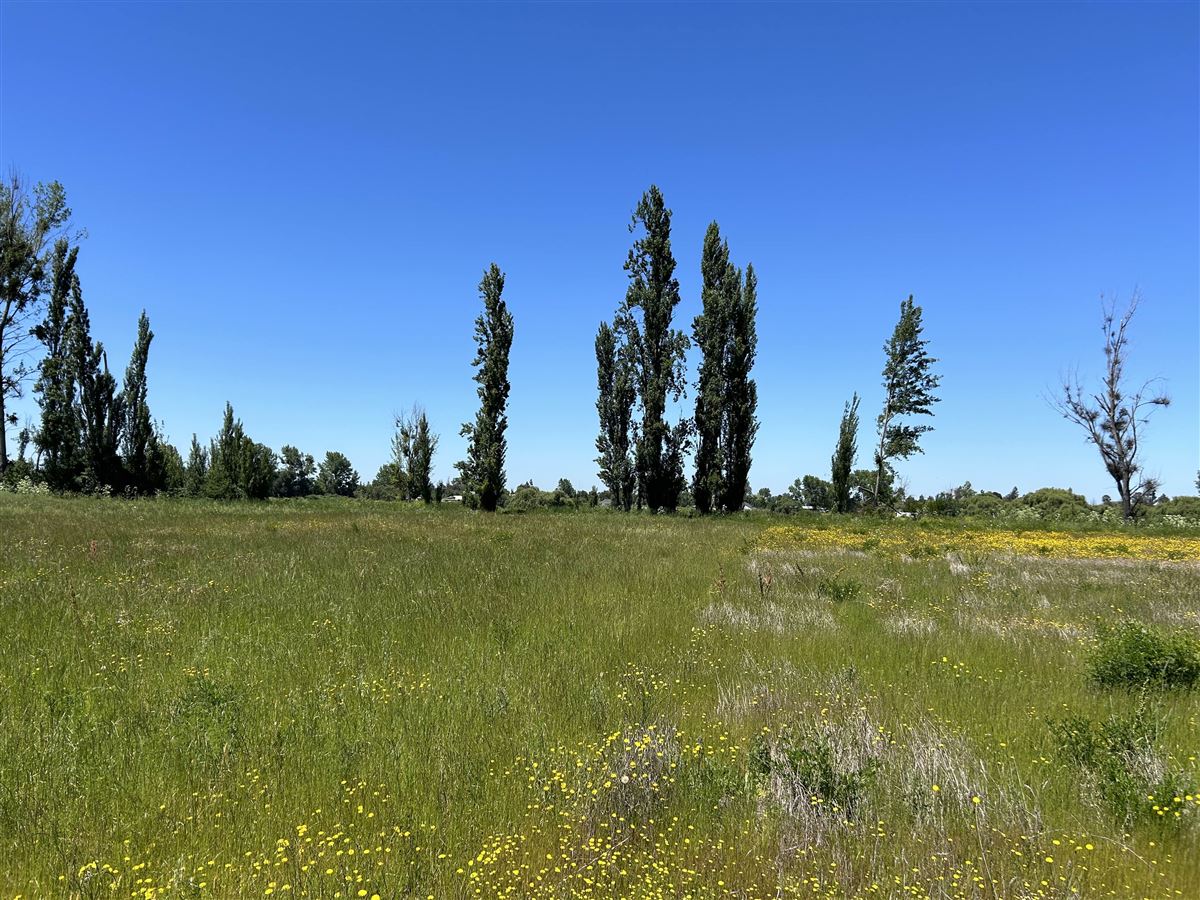 Venta Agrícola San Carlos - Ñuble