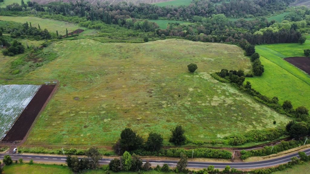 Venta Agrícola Yungay - Ñuble