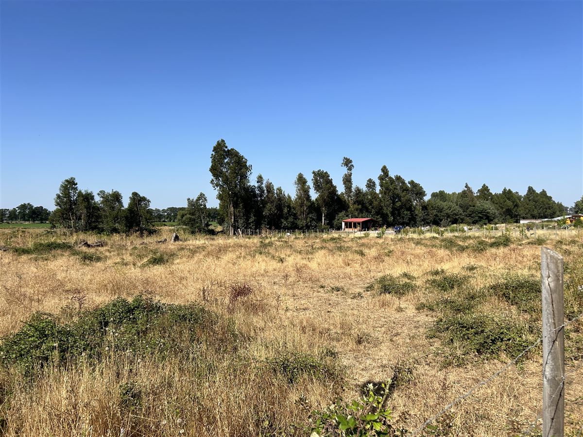 Venta Sitio Chillán - Ñuble