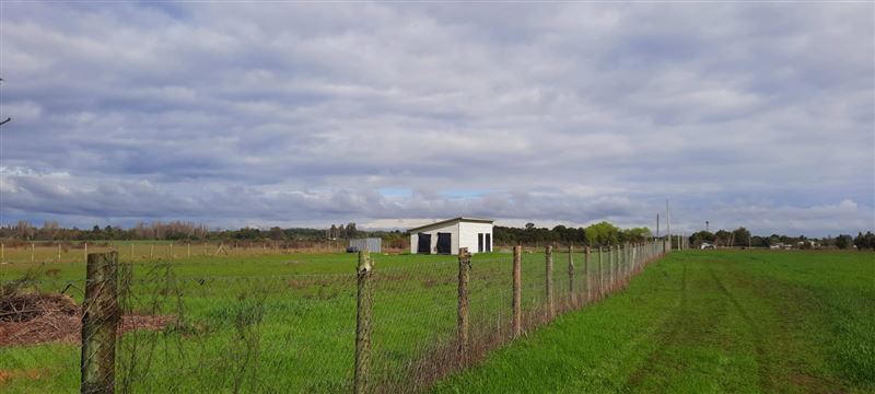 Venta Agrícola Pinto - Ñuble