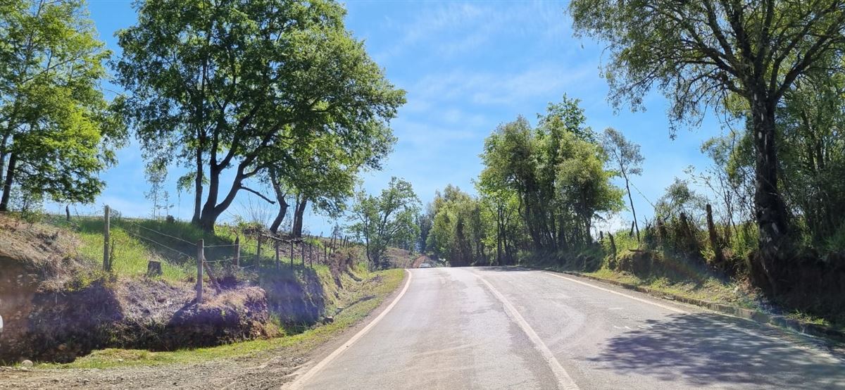 Venta Agrícola Temuco - La Araucanía