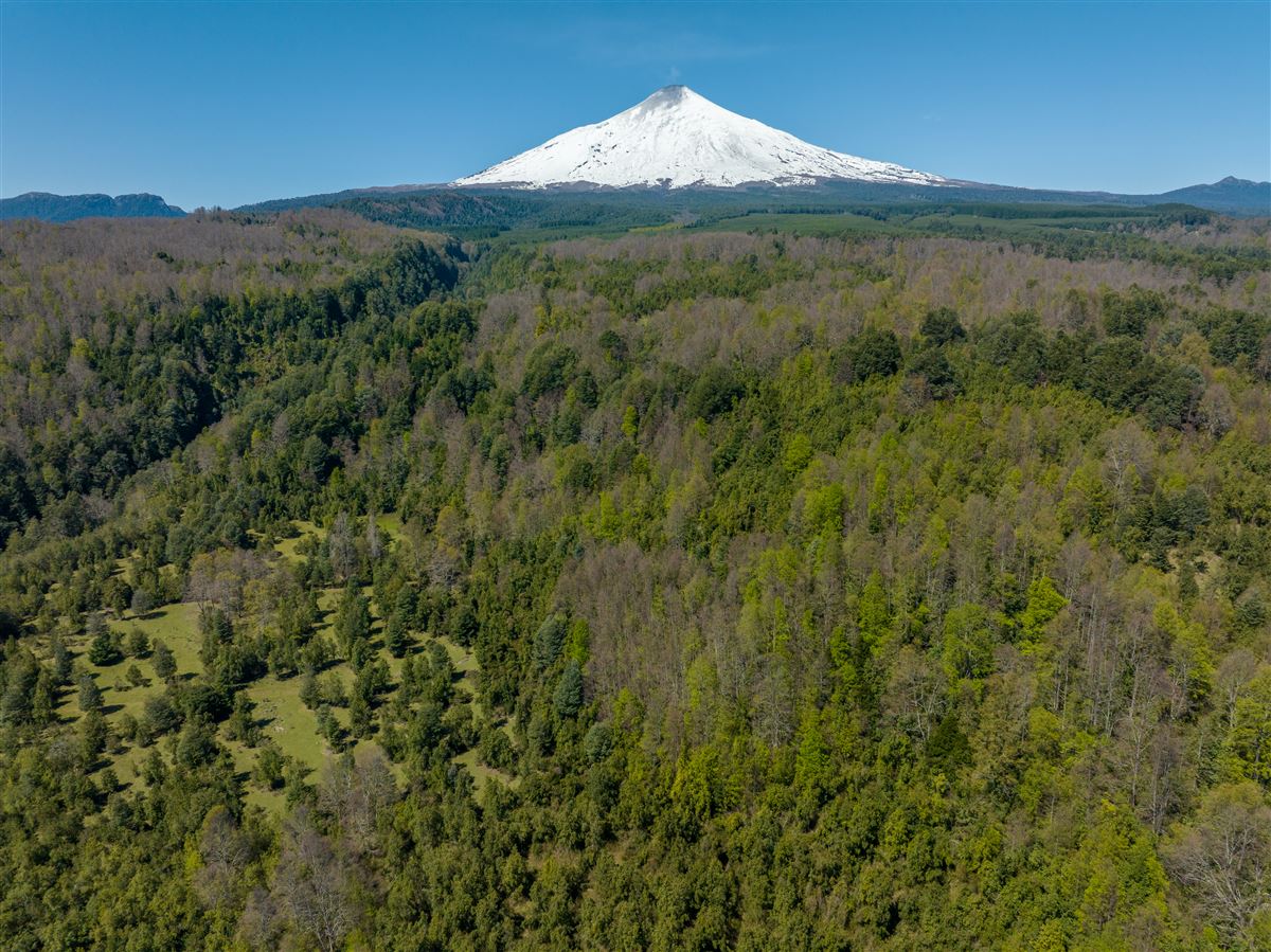 Venta Parcela Villarrica - La Araucanía