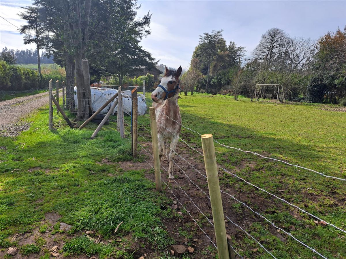 Venta Sitio Temuco - La Araucanía