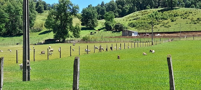 Venta Parcela Santa Bárbara - Biobío