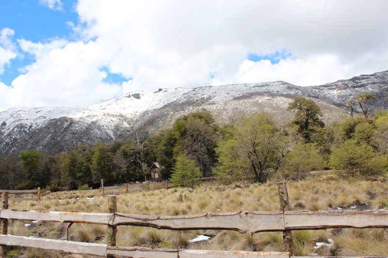 Venta Sitio Pinto - Ñuble