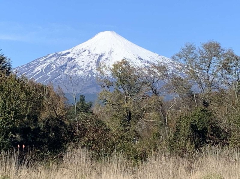 Venta Parcela Villarrica - La Araucanía