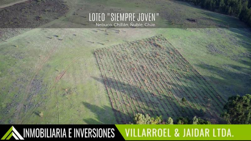 Venta Parcela Chillan Viejo - Ñuble