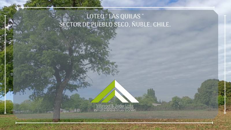 Venta Parcela Chillán - Ñuble