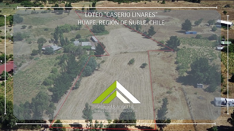 Venta Agrícola Chillán - Ñuble