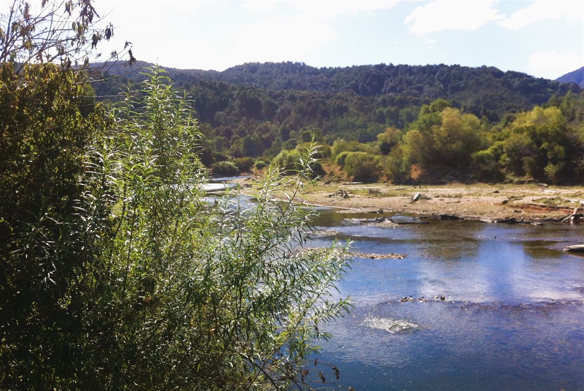 Venta Sitio Fresia - Los Lagos