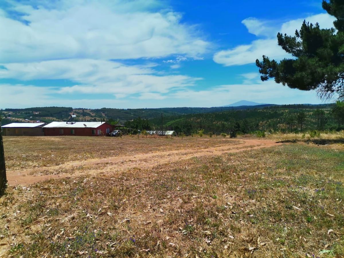 Venta Agrícola Concepción - Biobío