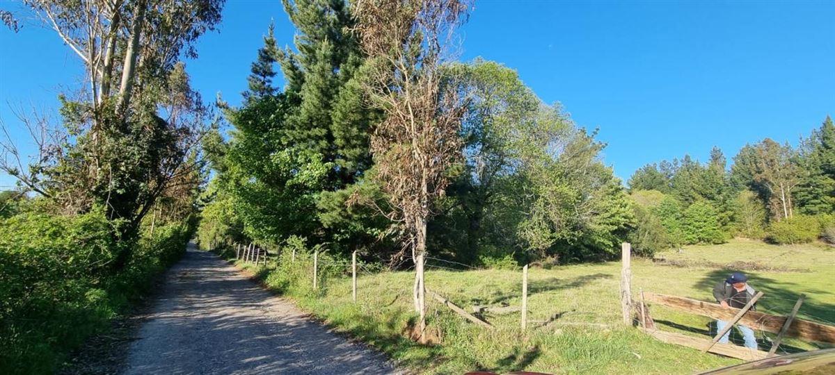 Venta Parcela Villarrica - La Araucanía