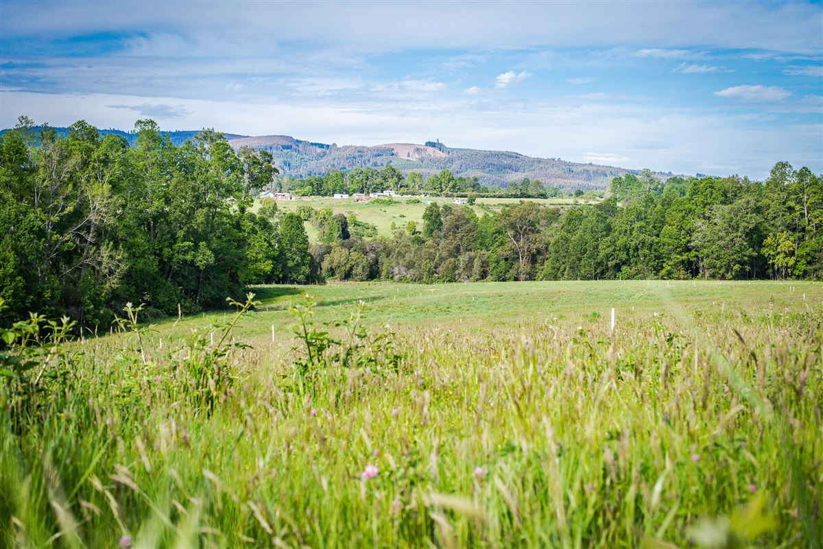 Venta Sitio Paillaco - Los Ríos