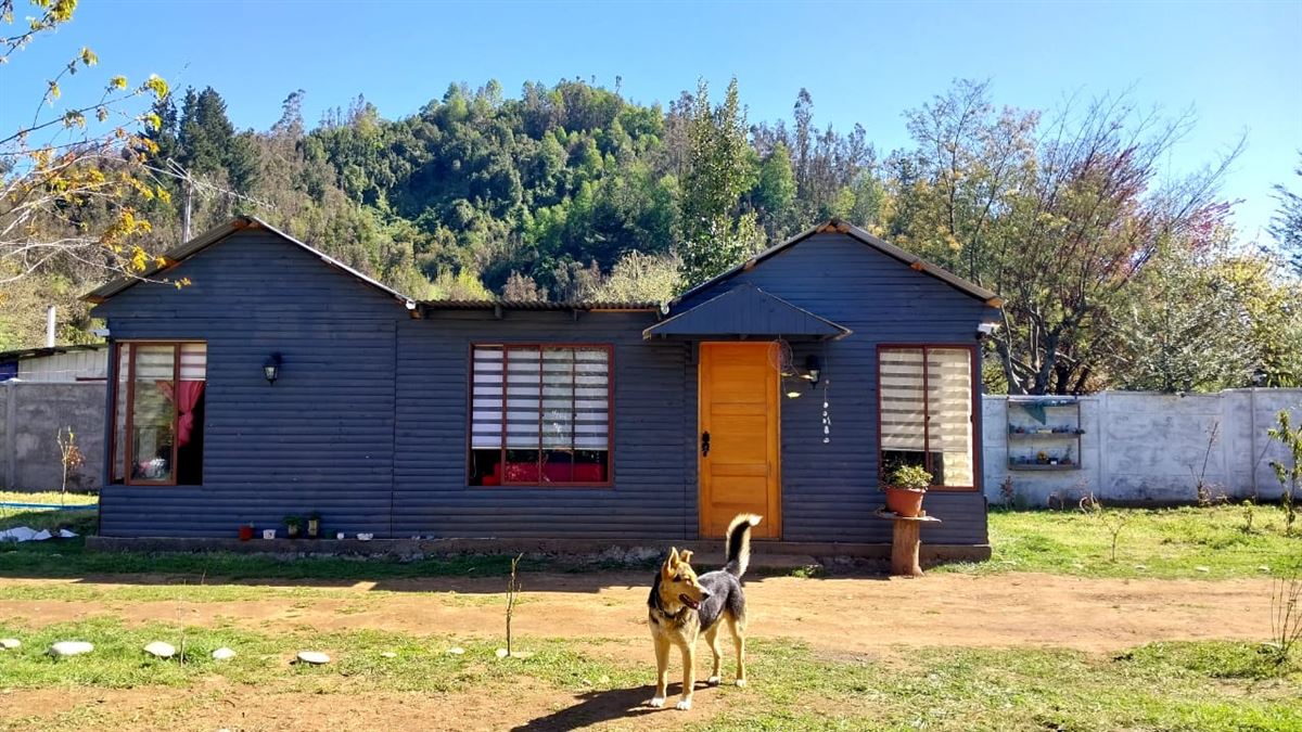 Venta Parcela Pitrufquén - La Araucanía