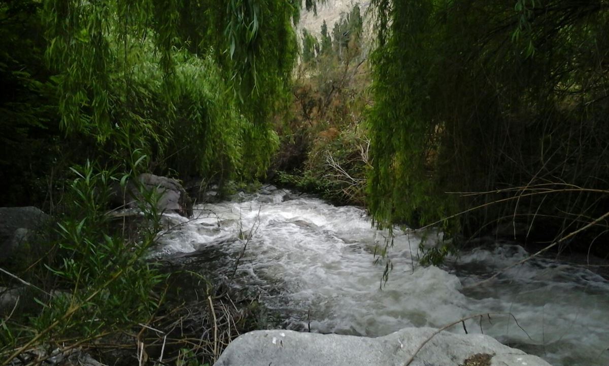 Venta Parcela Monte Patria - Coquimbo